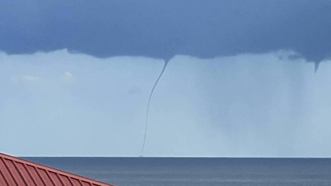 Rize'de korkutan titreten olay! Denizi ortasından yararak çıktı, gören telefonuna sarıldı 1